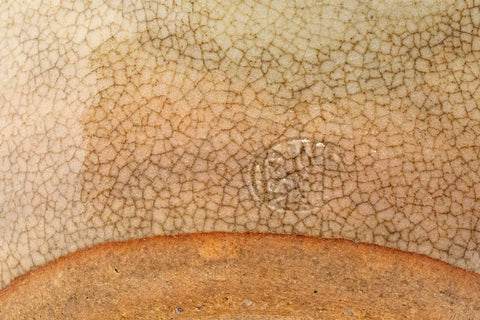 Tezumi — Japanese Kyusu - Hagi-yaki Do-ake Teapot - 300ml — closeup of the decoration