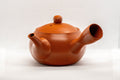 Tezumi — Japanese Kyusu - Maru-gata Tokoname-yaki Debeso Teapot - 260ml — side view showing the spout