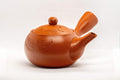 Tezumi — Japanese Kyusu - Maru-gata Tokoname-yaki Debeso Teapot - 260ml — three-quarter view