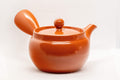 Japanese Kyusu - 富仙窯 Fusen Kiln Tokoname-yaki Teapot - 315ml - side view with the spout facing right