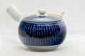Tezumi — Japanese Kyusu - Blue White Tokusa Arita-yaki - 420ml — side view showing the spout