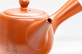 Tezumi — Japanese Kyusu - 高用 Calligraphy Tokoname-yaki Do-ake Teapot - 320ml — interior view showing the filter