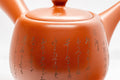 Tezumi — Japanese Kyusu - 高用 Calligraphy Tokoname-yaki Do-ake Teapot - 320ml — side profile showing the spout and handle