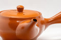 Japanese Kyusu - Tokoname-yaki Do-ake Teapot - 310ml - side view showing the spout