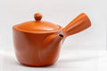 Japanese Kyusu - Classic Tokoname-yaki Teapot - 350ml - Tezumi