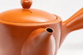 Japanese Kyusu - Classic Tokoname-yaki Teapot - 350ml - Tezumi