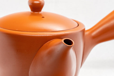 Japanese Kyusu - Classic Tokoname-yaki Teapot - 350ml - Tezumi