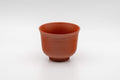 Japanese Teacup - Tokoname-yaki Senchawan - 100ml - front view of the cup showing the engraved flower