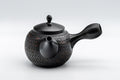 Japanese Kyusu - Tadaomi Kato, Koushin Kiln - Kurodei Tokoname-yaki Debeso Teapot - 250ml - side view of the teapot