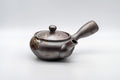 Tezumi — Japanese Kyusu - 阿久津 Banko-yaki Nozomi-style Teapot - 330ml — side view with the lid and side handle
