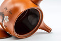Japanese Kyusu - Koyo Plum Blossom Tokoname-yaki Teapot - 375ml - view inside the pot showing the ceramic filter
