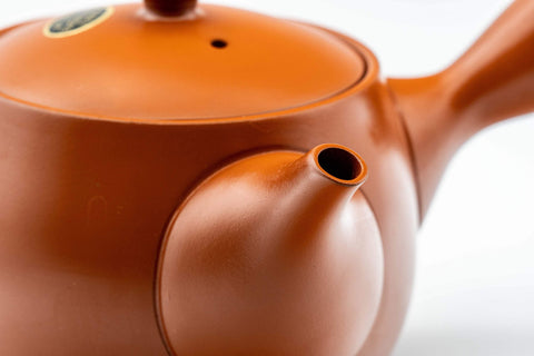 Japanese Kyusu - Koyo Plum Blossom Tokoname-yaki Teapot - 375ml - closeup of the spout
