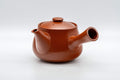 Tezumi — Japanese Tea Set - Tokoname-yaki Nasu-gata Debeso Kyusu with 5 Yunomi - 300ml — interior of the teapot showing the filter
