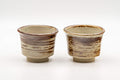 Tezumi — Japanese Tea Set - Hakeme Do-ake Houhin with 2 Senchawan - 130ml — the teapot and cups arranged together