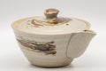 Tezumi — Japanese Tea Set - Hakeme Do-ake Houhin with 2 Senchawan - 130ml — the teapot side view with the handle