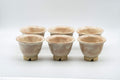 Tezumi — Japanese Tea Set - 萩焼 Hagi-yaki Houhin-style Do-ake Kyusu with 6 Senchawan - 450ml — closeup of the decoration