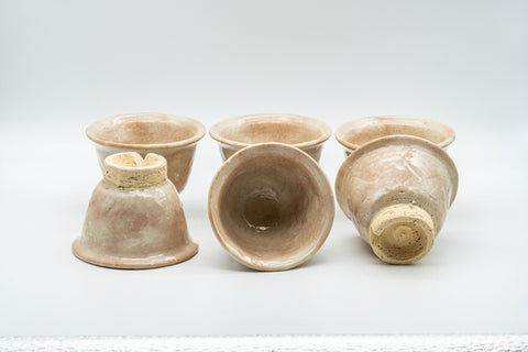 Tezumi — Japanese Tea Set - 萩焼 Hagi-yaki Houhin-style Do-ake Kyusu with 6 Senchawan - 450ml — closeup of a single piece