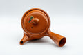 Japanese Kyusu - Classic Tokoname-yaki Teapot - 360ml - Tezumi