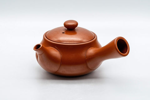 Tezumi — Japanese Kyusu - Calligraphy Nasu-gata Tokoname-yaki Debeso Teapot - 220ml — side view with the lid and side handle