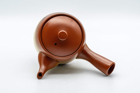 Japanese Kyusu - Plum Blossom Tokoname-yaki Teapot - 325ml - Tezumi
