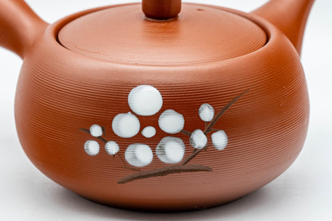 Japanese Kyusu - 常滑焼 Plum Blossom Tokoname-yaki Debeso Teapot - 350ml