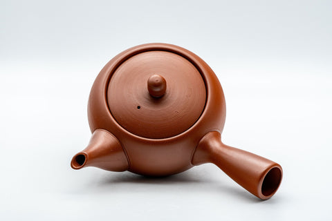 Japanese Kyusu - 常滑焼 Plum Blossom Tokoname-yaki Debeso Teapot - 350ml