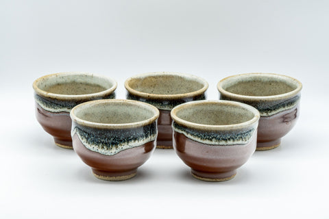 Tezumi — Japanese Tea Set - Maru-gata Do-ake Kyusu with 5 Yunomi — closeup of a single piece