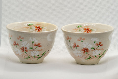 Japanese Teacups - Pair of Beige Floral Yunomi with Saucers - 150ml - closeup of the two cups showing the painted floral design