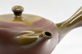 Japanese Kyusu - Banko-yaki Ceramic Teapot - 350ml - Tezumi