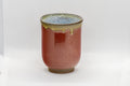 Japanese Teacup - Tsutsu-gata Yunomi - 160ml - angled view of the brilliant red exterior