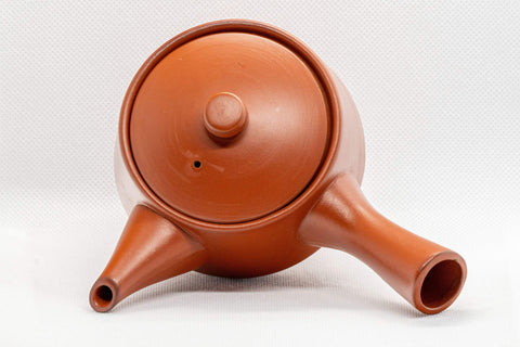 Japanese Kyusu - Mountainous Tokoname-yaki Debeso Teapot - 280ml - Tezumi