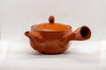 Tezumi — Japanese Kyusu - Peach Blossoms Tokoname-yaki Teapot - 170ml — side view showing the spout