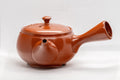 Tezumi — Japanese Kyusu - Floral Tokoname-yaki Teapot - 275ml — closeup of the decoration