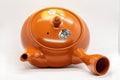 Tezumi — Japanese Kyusu - Tokoname-yaki Obi-ami Teapot - 375ml — interior view showing the filter