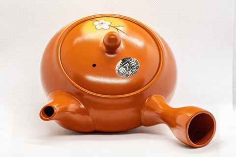 Tezumi — Japanese Kyusu - Tokoname-yaki Obi-ami Teapot - 375ml — interior view showing the filter