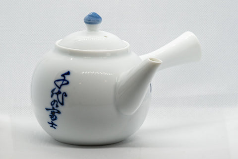 Japanese Kyusu - Nasu-gata Arita-yaki Debeso Teapot - 360ml - Tezumi