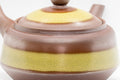 Japanese Kyusu - Hakeme Banko-yaki Teapot - 380ml - Tezumi