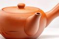 Japanese Kyusu - Tokoname-yaki Debeso Teapot - 350ml - closeup of the engraved bamboo body and spout