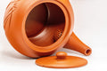 Japanese Kyusu - Tokoname-yaki Debeso Teapot - 350ml - view into the open pot showing the ceramic debeso filter