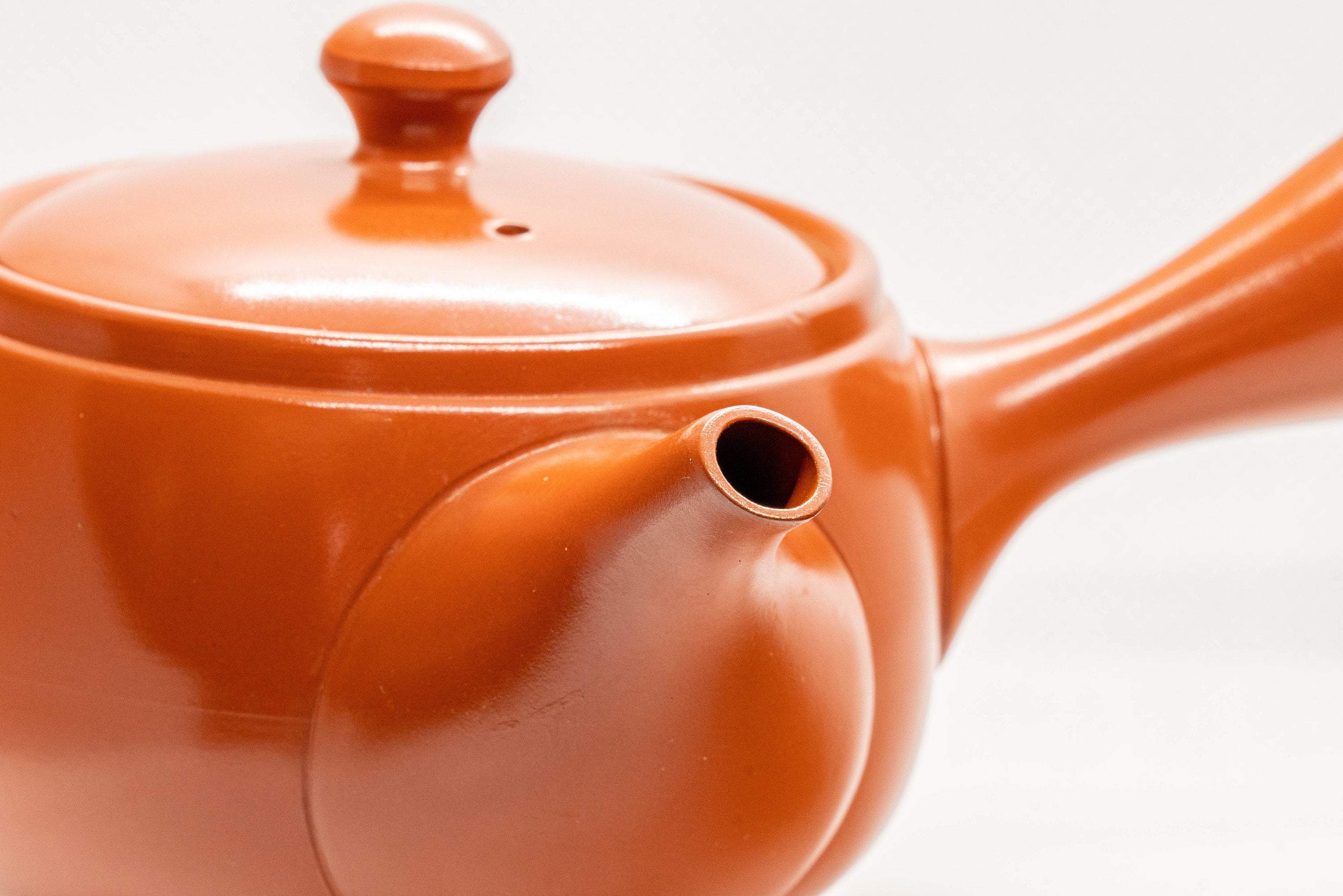 Japanese Kyusu - 春秋 Tokoname-yaki Side-handle Teapot - 350ml