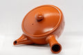 Japanese Kyusu - Tokoname-yaki Debeso Teapot - 260ml - top-down view of the lid