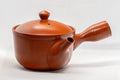 Japanese Kyusu - Classic Tokoname-yaki Teapot - 240ml - Tezumi
