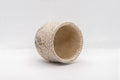 Tezumi — Japanese Teacup - Floral Guinomi - 60ml — top-down view of the interior
