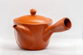 Japanese Kyusu - Classic Tokoname-yaki Teapot - 350ml - Tezumi
