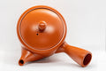 Japanese Kyusu - Classic Tokoname-yaki Teapot - 350ml - Tezumi