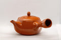 Tezumi — Japanese Kyusu - Floral Tokoname-yaki Side-handled Teapot - 175ml — side view with the lid and side handle