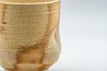 Japanese Teacups - Pair of Giraffe Tsutsu-gata Yunomi - 140ml - closeup of the rim of one cup