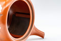 Japanese Kyusu - 福仙窯 Floral Kanji Tokoname-yaki Teapot - 230ml - closeup of the opening showing the fine mesh filter