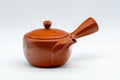 Japanese Kyusu - 福仙窯 Floral Kanji Tokoname-yaki Teapot - 230ml - front view showing the spout and painted plum blossoms