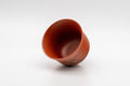Japanese Teacup - Tokoname-yaki Senchawan - 100ml - tilted view showing the interior from above